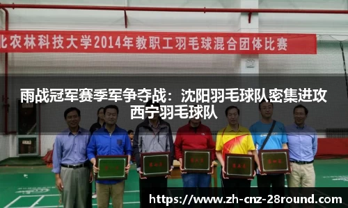 雨战冠军赛季军争夺战：沈阳羽毛球队密集进攻西宁羽毛球队